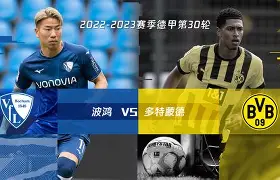 德甲多特蒙德集锦